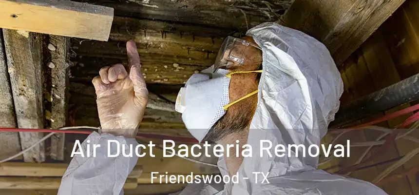  Air Duct Bacteria Removal Friendswood - TX