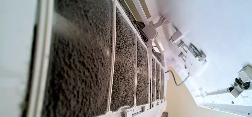 Preventive Air Duct Bacteria Removal in Friendswood