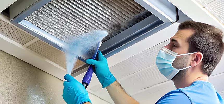 Proactive Dryer Vent & Auxiliary Duct Pollen Cleanup in Friendswood, TX