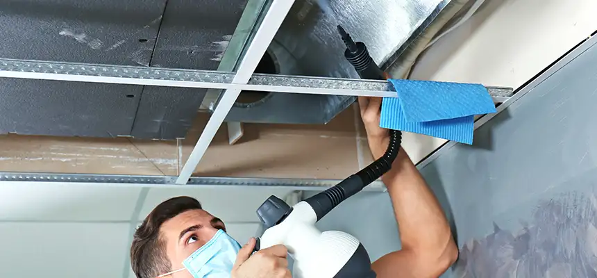 Our Air Duct Rodent Removal Services in Friendswood, TX
