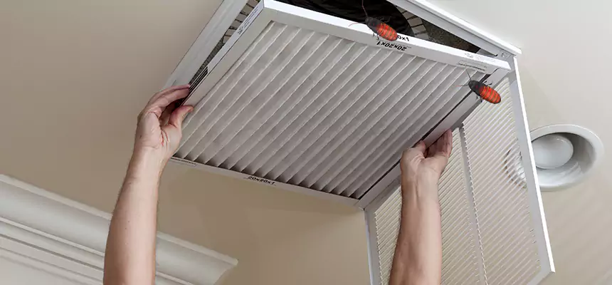 Our Insect Removal from Air Ducts Services in Friendswood, TX