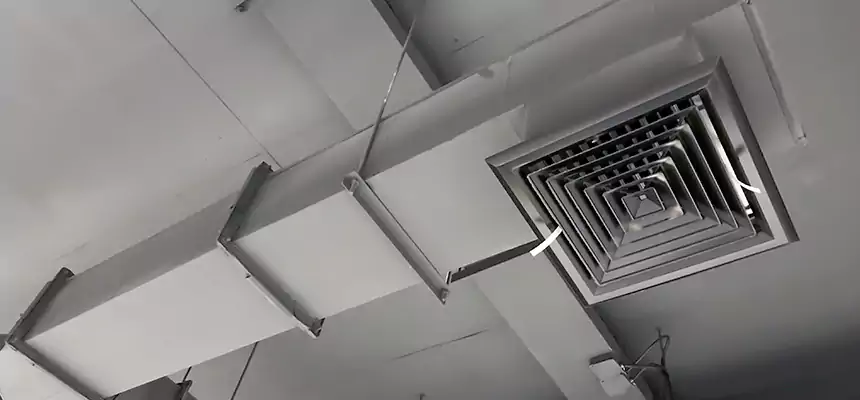 Our Rodent Droppings In Vents Services in Friendswood, TX