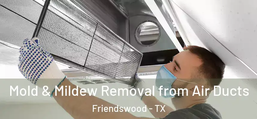Mold & Mildew Removal from Air Ducts Friendswood - TX