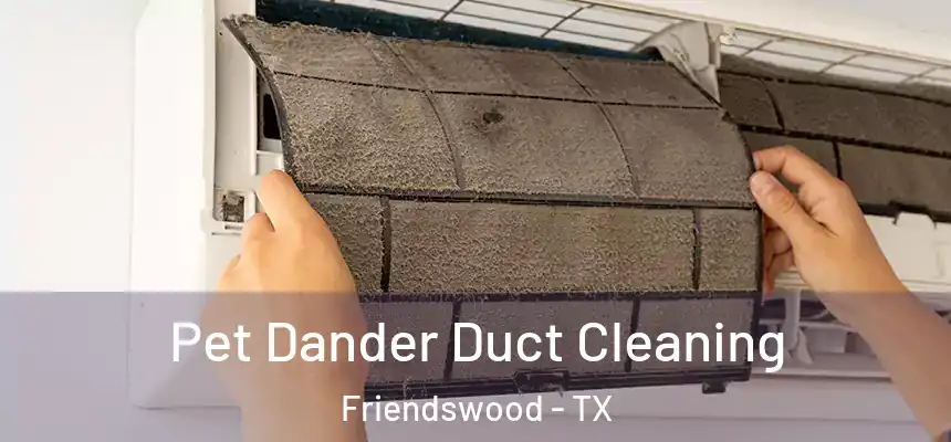 Pet Dander Duct Cleaning Friendswood - TX
