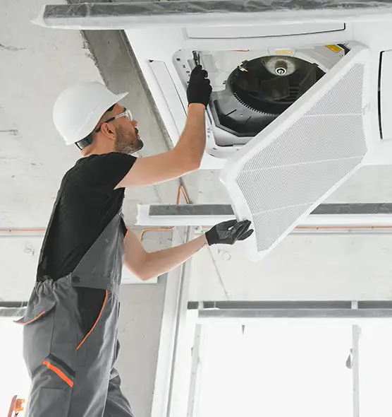 About Air Duct Rodent Removal in Friendswood, TX