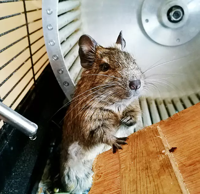 Why Homeowners & Businesses Trust Us Friendswood, TX