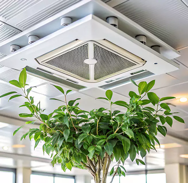 Why Homeowners & Businesses Trust Us in Friendswood, TX?