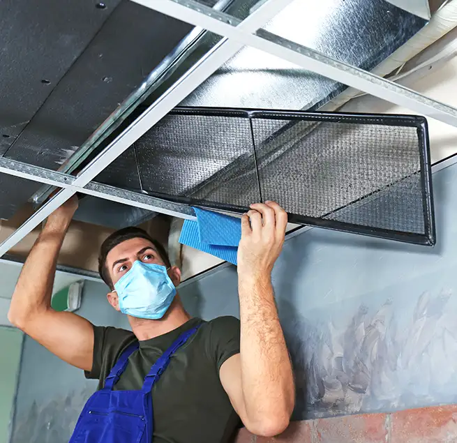 Why Homeowners & Businesses Trust Us in Friendswood, TX?